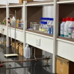 WhatsApp Image 2024-05-10 at 8.55.40 AM (2)